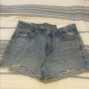 American Eagle Outfitters Women's Light Blue Ripped Jean Shorts